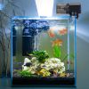 Automatic Fish Feeder 8.45OZ Capacity Electric Fish Food Dispenser for Fish Tank Aquarium Moisture-Proof Fish Feed Timer with 4 Programmable Modes Adj