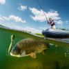 10Pcs Soft Fishing Lures Realistic Bass Loach Swimming Lure Plastic Fake Fishing Bait Equipment for Saltwater Freshwater